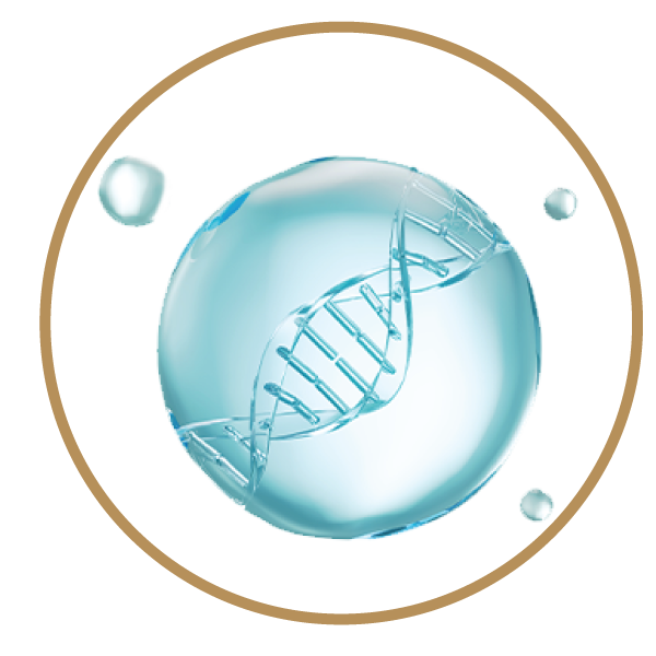 Production of collagen and elastin